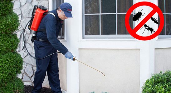 Hendek Hamam Böceği İlaçlama böcek ilaçlama ve haşere kontrolü — ilaclama-tr.com